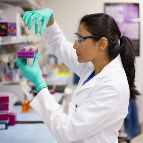 Closeup portrait, young scientist in labcoat doing experiments in lab, academic sector.